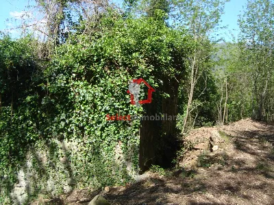 Rustico/Casale in vendita a Borgo a Mozzan... - foto 4