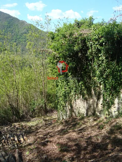 Rustico/Casale in vendita a Borgo a Mozzan... - foto 5