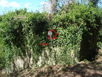 Rustico/Casale in vendita a Borgo a Mozzan... - foto 6
