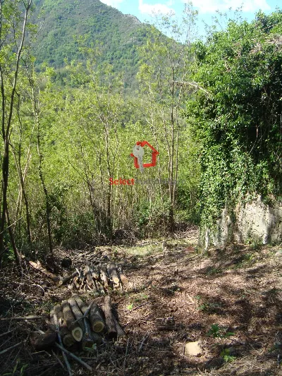 Rustico/Casale in vendita a Borgo a Mozzan... - foto 7