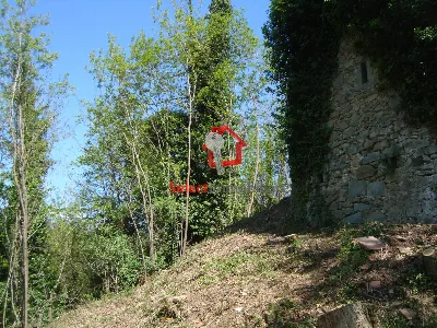 Rustico/Casale in vendita a Borgo a Mozzan... - foto 8