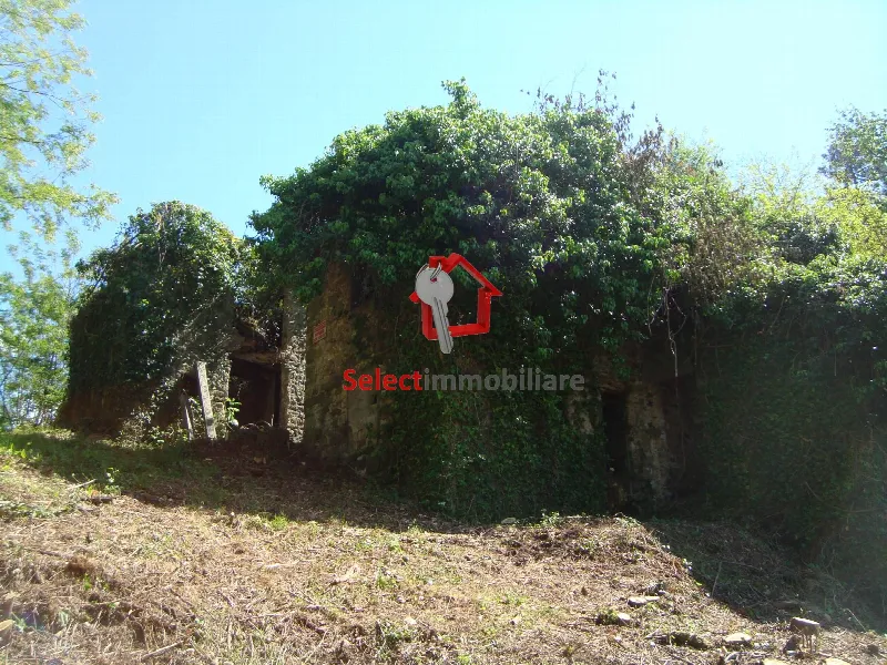Rustico/Casale in vendita a Borgo a Mozzano - foto 1