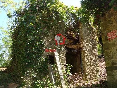 Rustico/Casale in vendita a Borgo a Mozzan... - foto 10