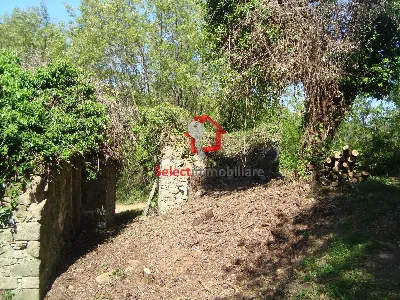 Rustico/Casale in vendita a Borgo a Mozzan... - foto 3