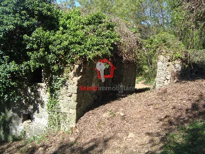 Rustico/Casale in vendita a Borgo a Mozzan... - foto 4