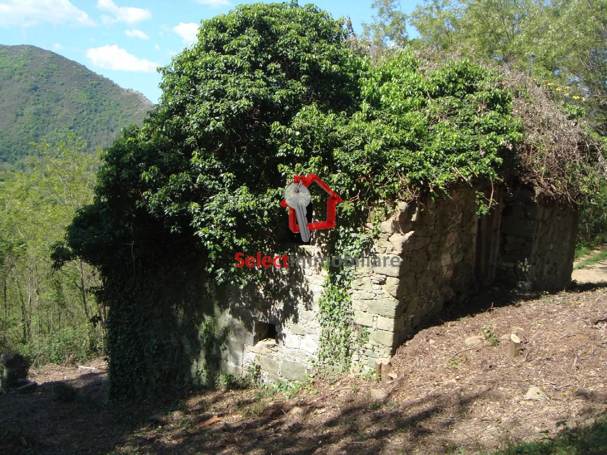 Rustico/Casale in vendita a Borgo a Mozzano - foto 5