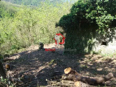 Rustico/Casale in vendita a Borgo a Mozzan... - foto 6