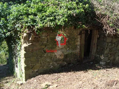 Rustico/Casale in vendita a Borgo a Mozzan... - foto 7