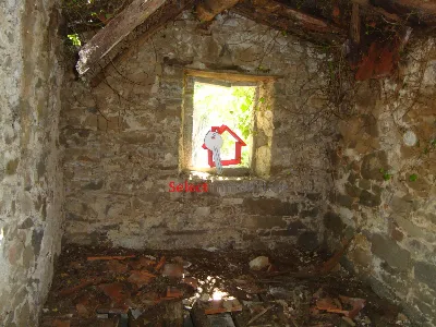 Rustico/Casale in vendita a Borgo a Mozzan... - foto 9