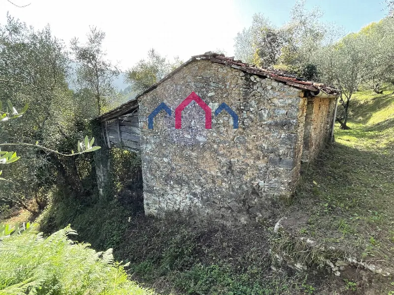 Rustico/Casale in vendita a Borgo a Mozzano - foto 1