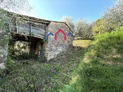 Rustico/Casale in vendita a Borgo a Mozzan... - foto 10