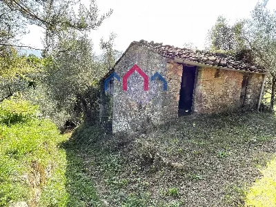 Rustico/Casale in vendita a Borgo a Mozzan... - foto 2
