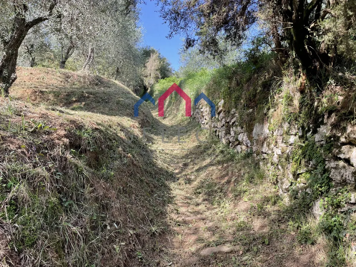 Rustico/Casale in vendita a Borgo a Mozzano - foto 3