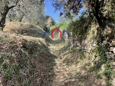 Rustico/Casale in vendita a Borgo a Mozzan... - foto 3