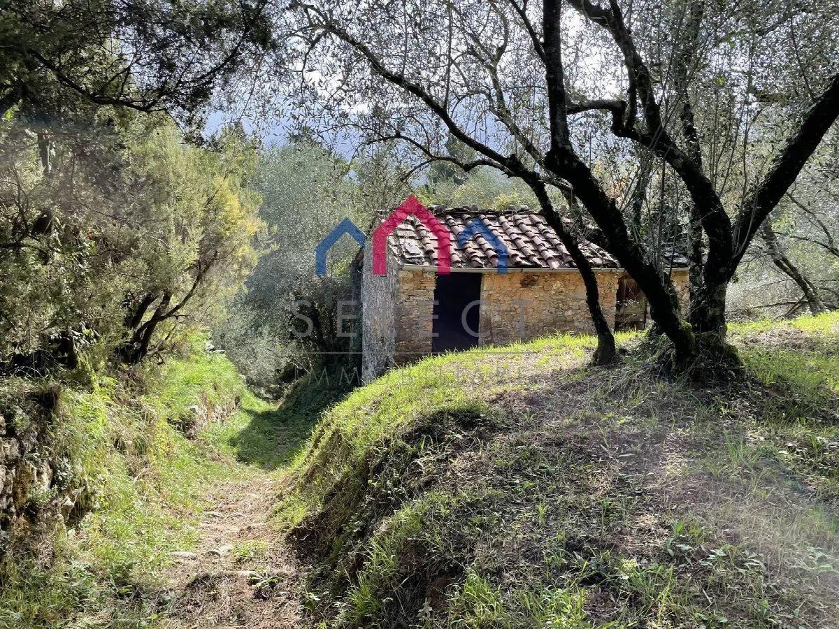 Rustico/Casale in vendita a Borgo a Mozzano - foto 4