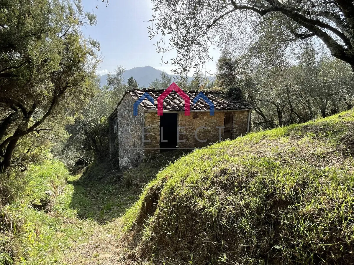 Rustico/Casale in vendita a Borgo a Mozzano - foto 5