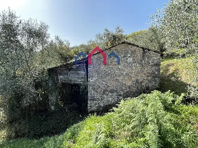 Rustico/Casale in vendita a Borgo a Mozzan... - foto 6