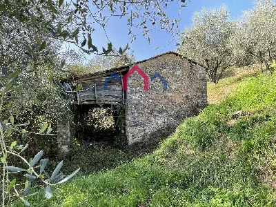 Rustico/Casale in vendita a Borgo a Mozzan... - foto 7
