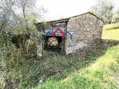 Rustico/Casale in vendita a Borgo a Mozzan... - foto 8