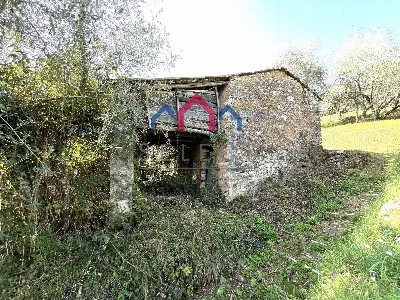 Rustico/Casale in vendita a Borgo a Mozzan... - foto 9