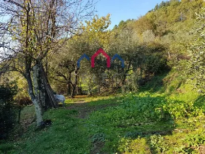 Rustico/Casale in vendita a Bagni di Lucca - foto 9