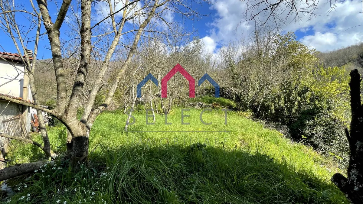 Rustico/Casale in vendita a Pescaglia - foto 3