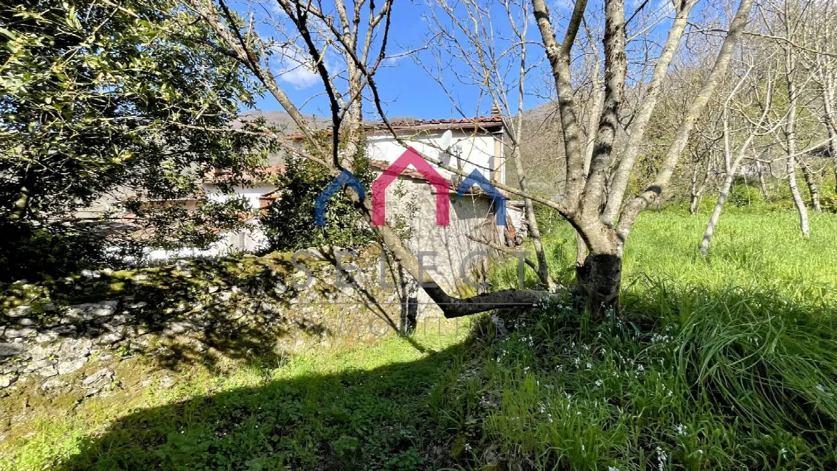 Rustico/Casale in vendita a Pescaglia - foto 4