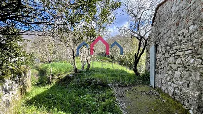 Rustico/Casale in vendita a Pescaglia - foto 5