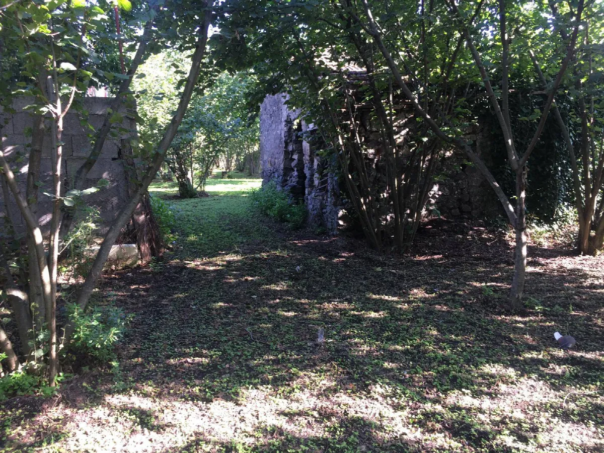 Rustico/Casale in vendita a Ottaviano - foto 5