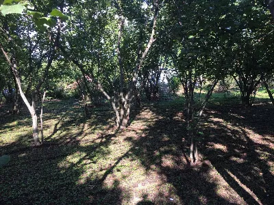 Rustico/Casale in vendita a Ottaviano - foto 7