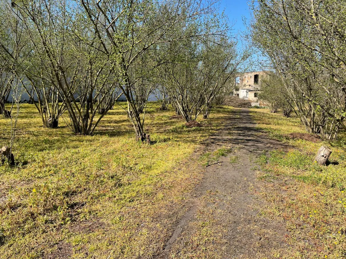 Rustico/Casale in vendita a Ottaviano - foto 4