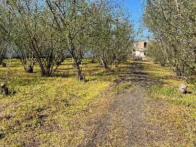 Rustico/Casale in vendita a Ottaviano - foto 4