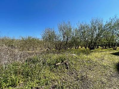 Rustico/Casale in vendita a Ottaviano - foto 6