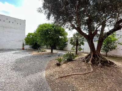 Villa in vendita a Ottaviano - foto 3