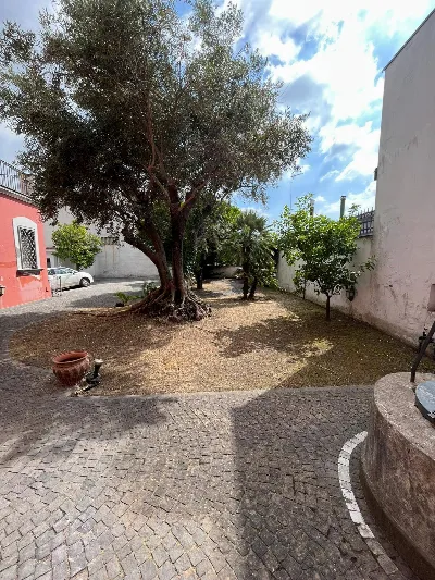 Villa in vendita a Ottaviano - foto 6