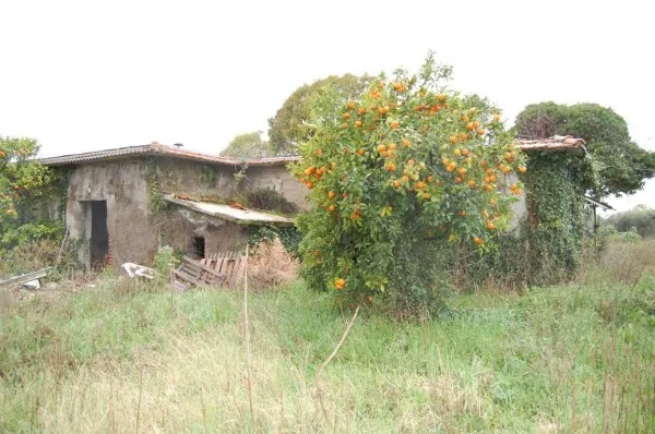 Rustico/Casale in vendita a Velletri - foto 4