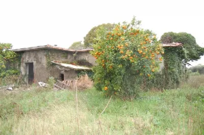 Rustico/Casale in vendita a Velletri - foto 4