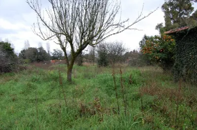Rustico/Casale in vendita a Velletri - foto 8