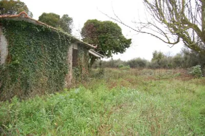 Rustico/Casale in vendita a Velletri - foto 9