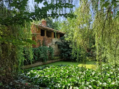 Rustico/Casale in vendita a Bra - foto 10
