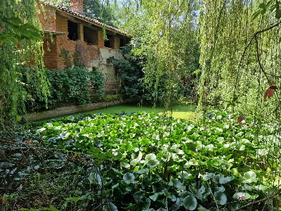 Rustico/Casale in vendita a Bra - foto 8