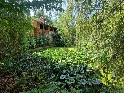Rustico/Casale in vendita a Bra - foto 9