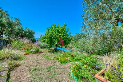 Villa in vendita a Castellabate - foto 8