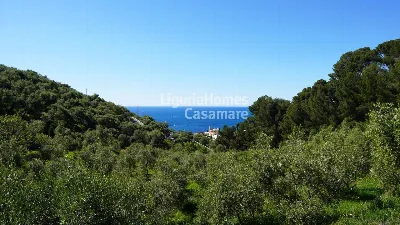 Villa in vendita a Cervo - foto 5
