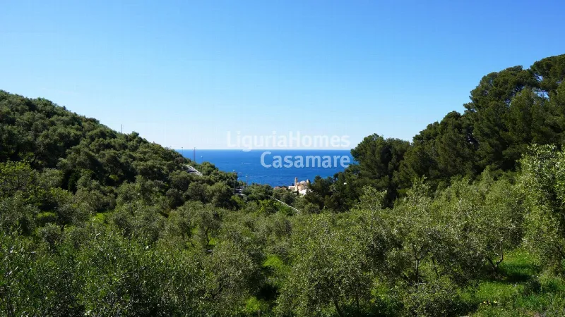 Villa in vendita a Cervo - foto 5