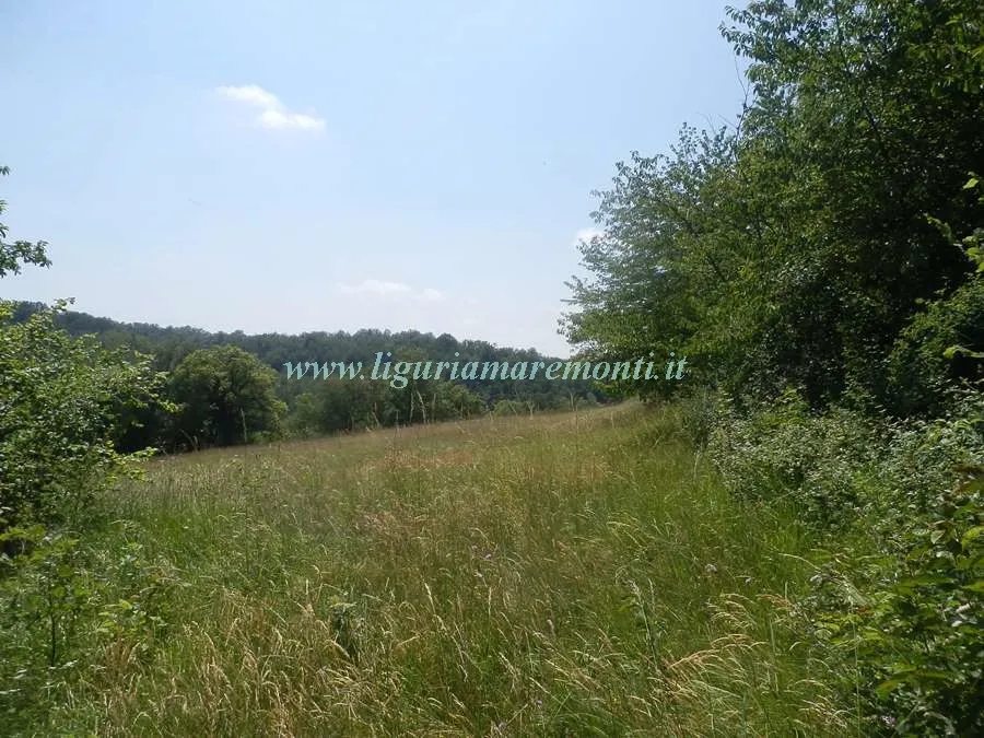 Rustico/Casale in vendita a Dego - foto 3