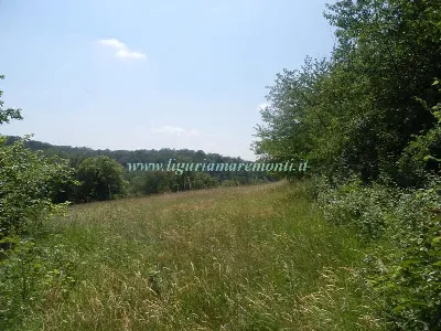 Rustico/Casale in vendita a Dego - foto 3
