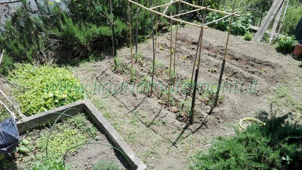 Villa in vendita a Dego - foto 4