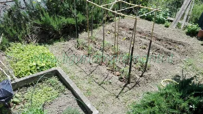 Villa in vendita a Dego - foto 4