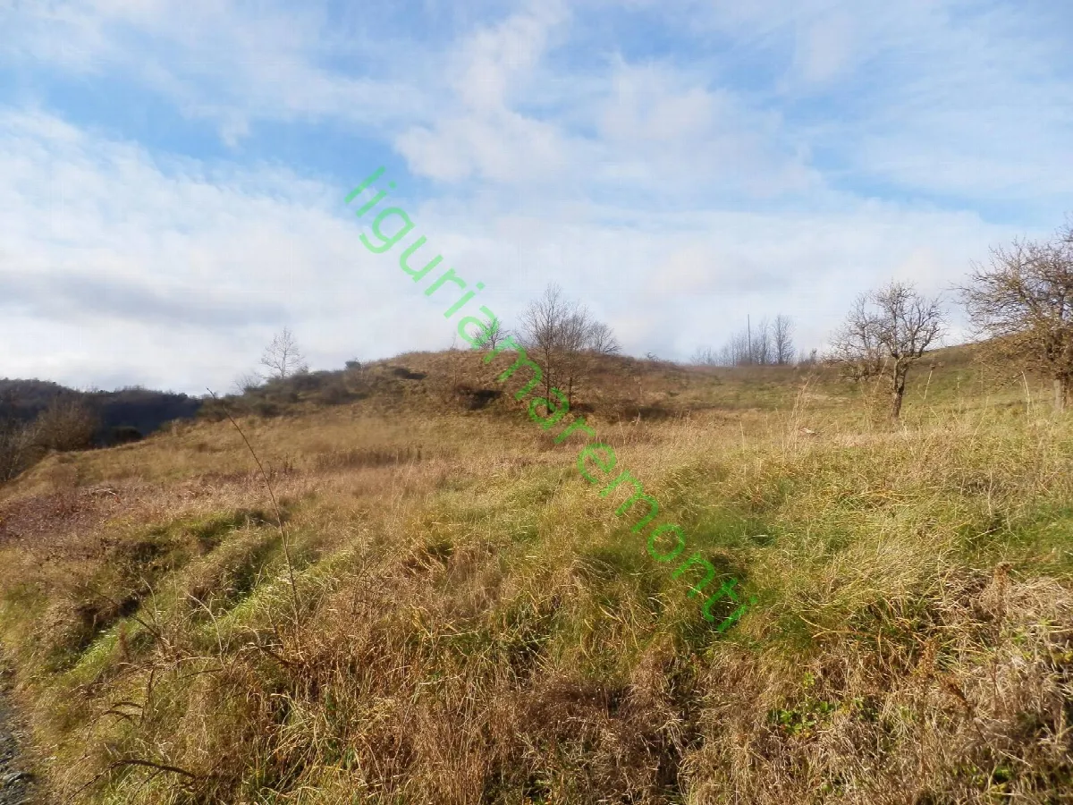 Rustico/Casale in vendita a Mioglia - foto 5